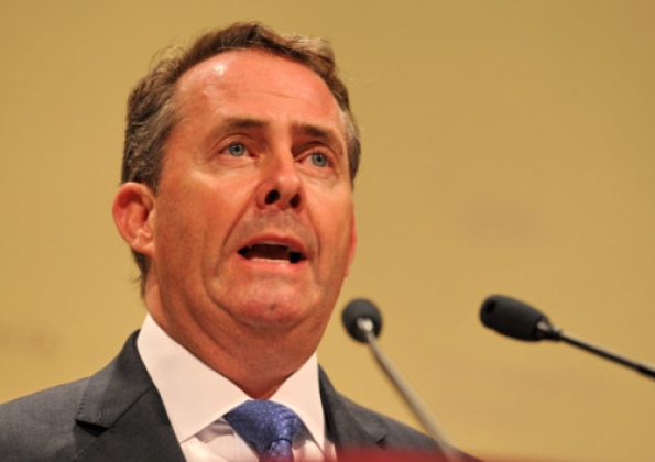 Former defence secretary, Liam Fox
